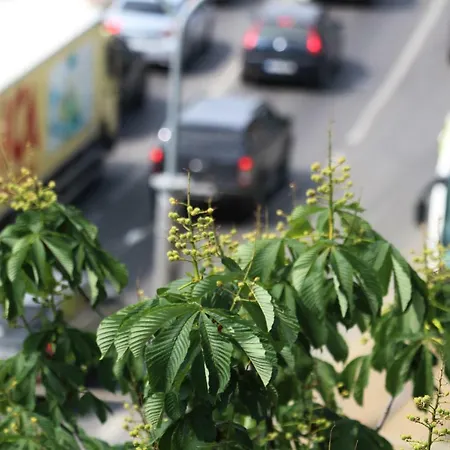 Apartamento Atica Penthouse Tallin